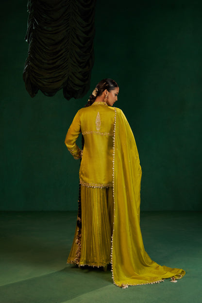 Moti Sharara